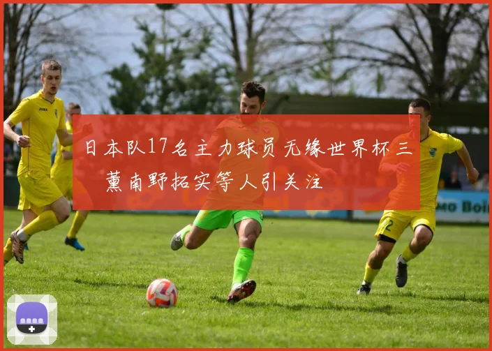 日本队17名主力球员无缘世界杯三笘薰南野拓实等人引关注