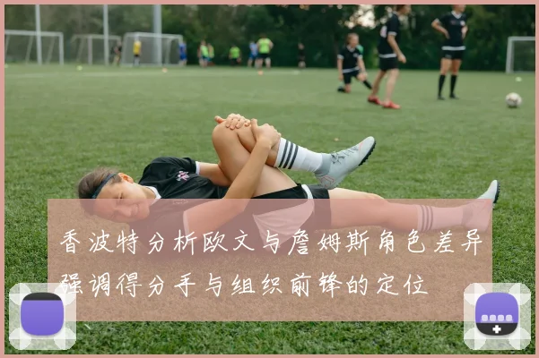 香波特分析欧文与詹姆斯角色差异强调得分手与组织前锋的定位